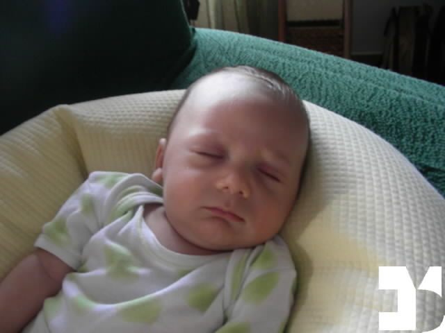 Yuki - 20090927 17.09 - 49 giorni - 728-FDM.JPG